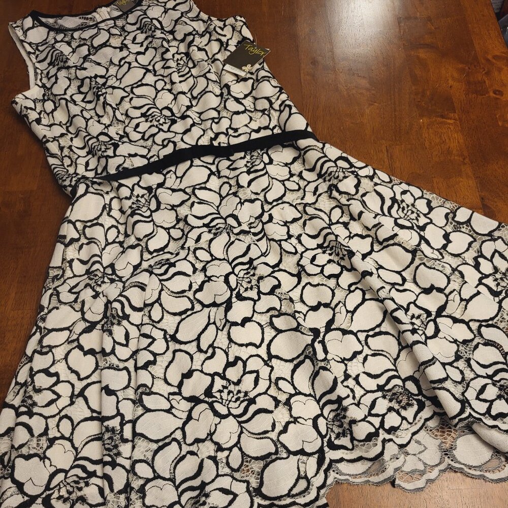 Taylor ~ Floral Print Dress ~ Size 10 ~ NWT